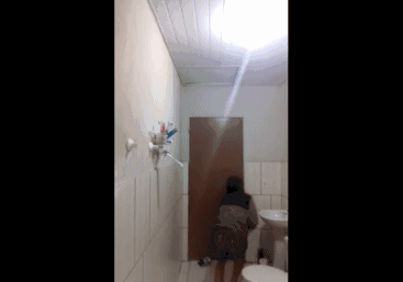 宠物猫会不会抓老鼠呢？