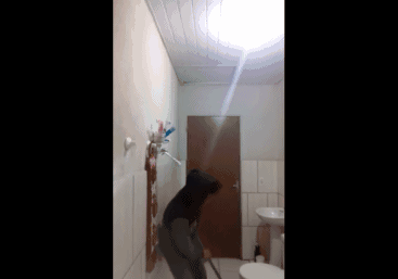 宠物猫会不会抓老鼠呢？
