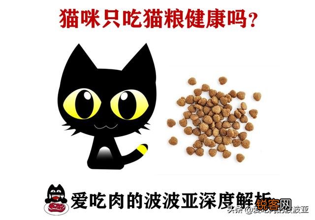 从健康的角度出发,猫咪只喂猫粮可以吗？