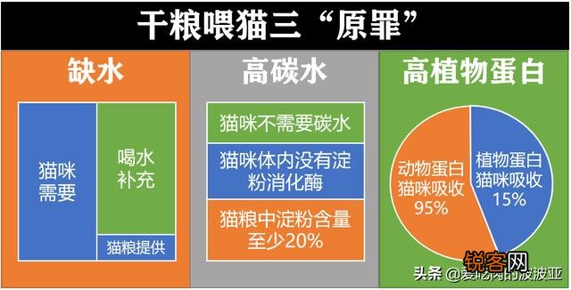 从健康的角度出发,猫咪只喂猫粮可以吗？