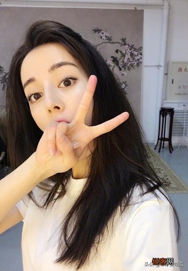 你认为迪丽热巴是标准美女吗？她和中国传统的美女有什么不同？