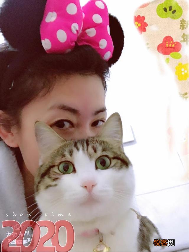 土猫可以当成宠物猫养吗？