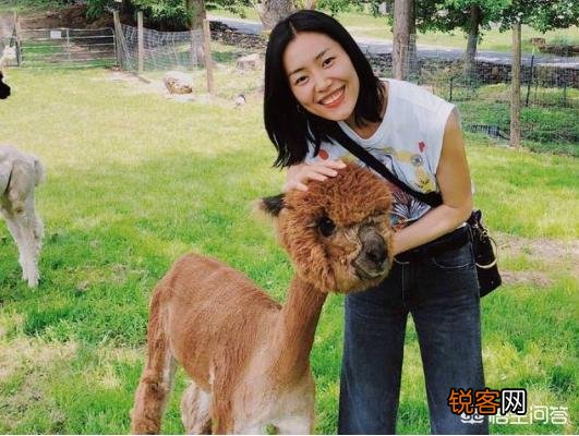 小眼睛单眼皮的明星都有谁？