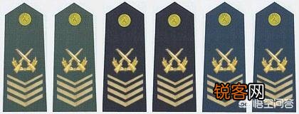 士官的职业发展方向有哪些？