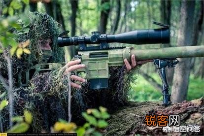 大专毕业,当两年义务兵,留队转士官合算吗？
