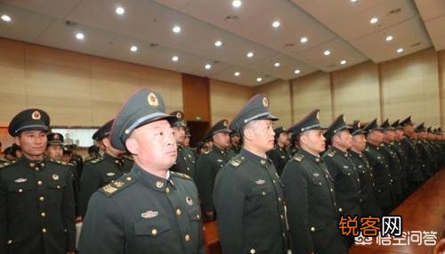 士官能自主择业吗？需要什么条件才能符合？