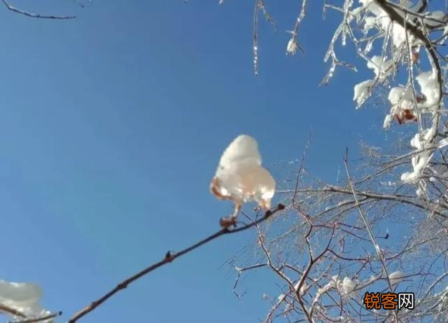 假如遇到一个真爱的人,你们放弃现在的婚姻吗？
