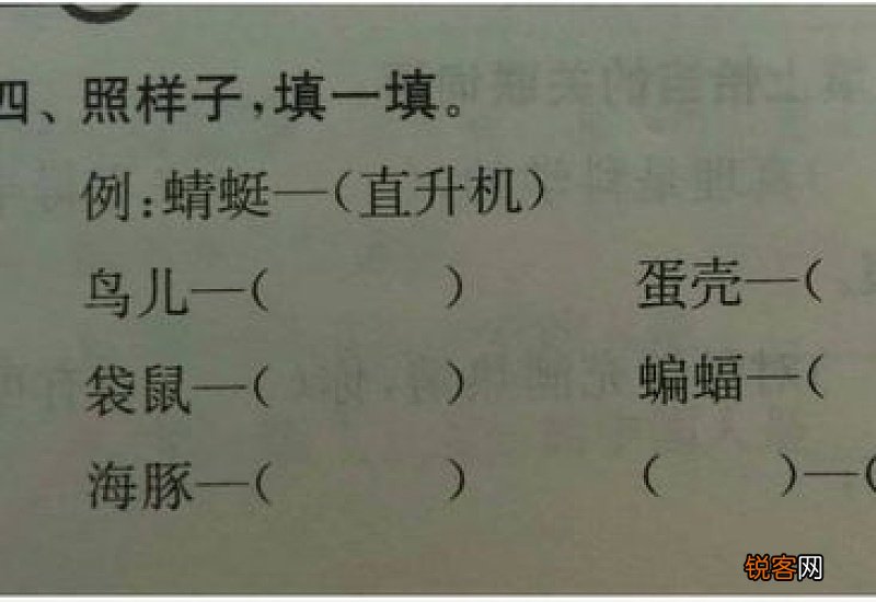 泳衣是根据什么动物发明的