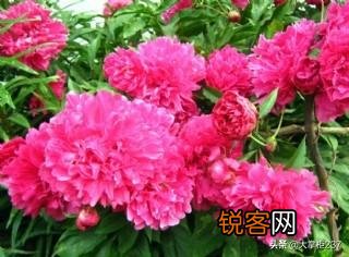 老婆非要离婚怎么办？