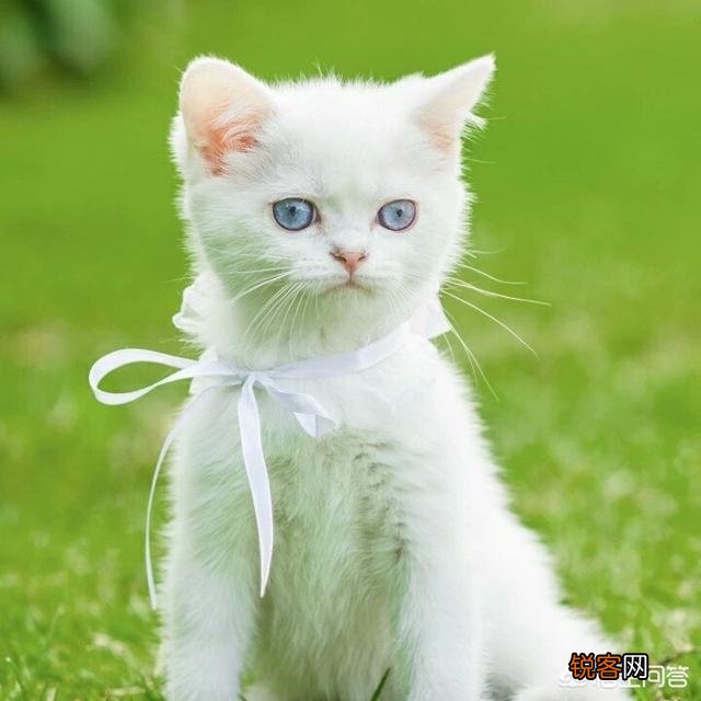 想离婚却不舍得,怎么办？