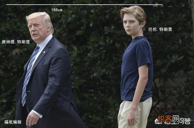 特朗普结了三次婚,为什么前妻们相处融洽,五个同父异母的孩子和睦相处且个个优秀?