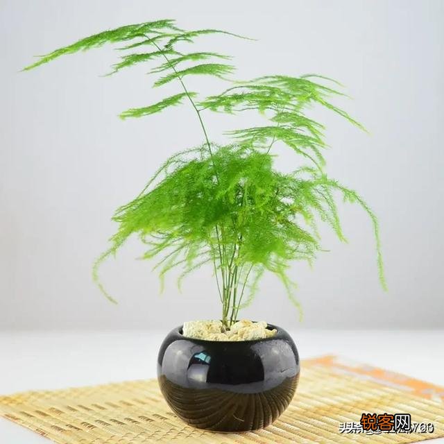 今天得知前妻已结婚,别人告诉我的,心里为什么这么难受？