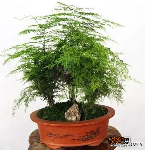 今天得知前妻已结婚,别人告诉我的,心里为什么这么难受？