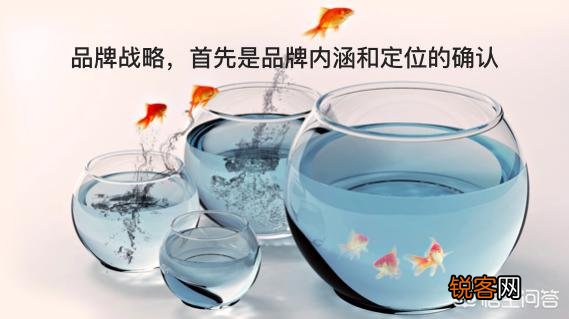 企业该如何利用品牌营销推广来打响企业的品牌呢？