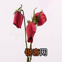 最近安徽17岁女孩,在警察眼皮底下投河自杀了,你有什么看法？