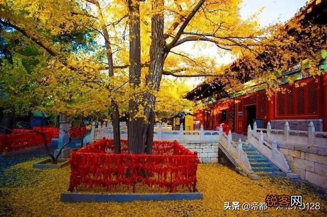 2036年申奥竞争激烈,我国推选12座城市争夺,能否再次举办奥运？