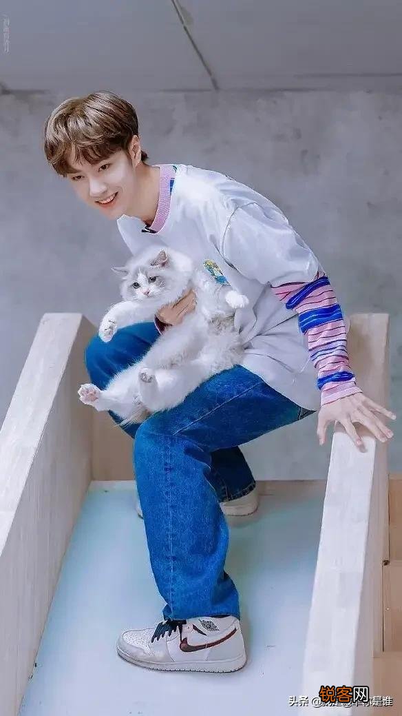 《天天向上》节目中的五个主持人私底下关系怎么样？