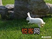 农村怪事多,你有没有碰见过科学无法解释的怪事呢？