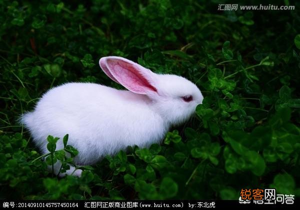 农村怪事多,你有没有碰见过科学无法解释的怪事呢？