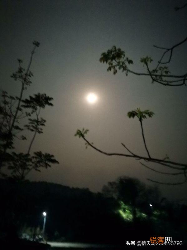 你在农村走夜路遇到的最诡异的事是什么？