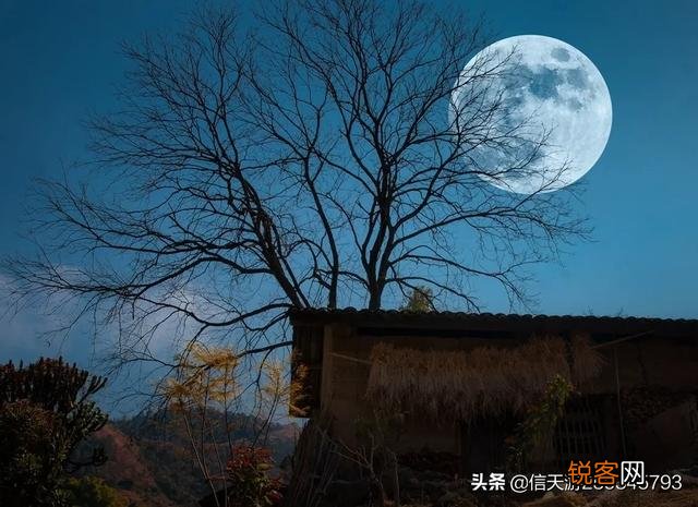 你在农村走夜路遇到的最诡异的事是什么？