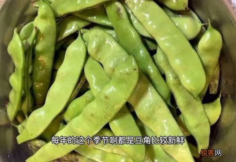 豆角如何保存时间长又新鲜