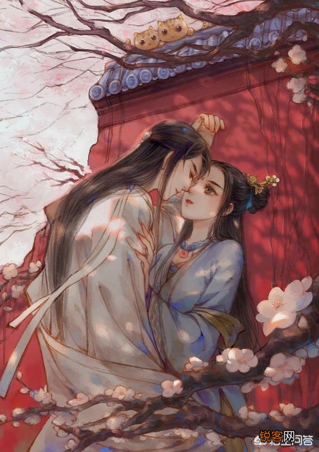 如何评价小说《凤求凰》？