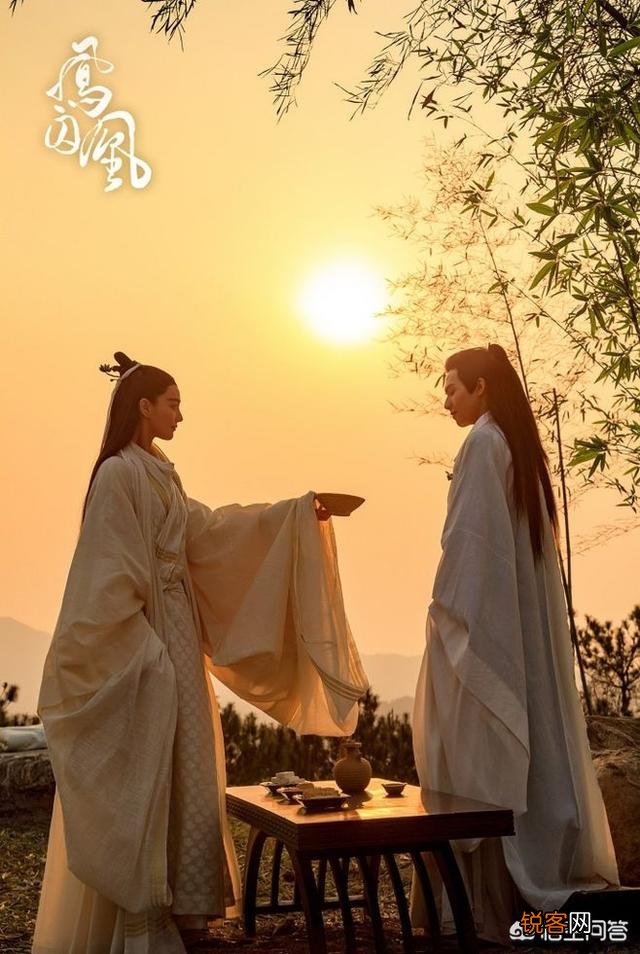 如何评价小说《凤求凰》？