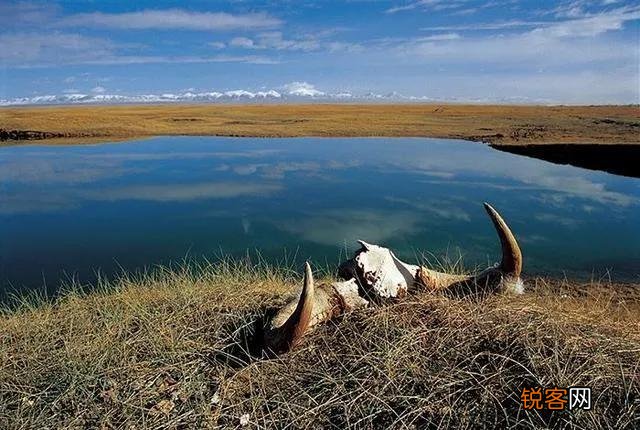 中国有哪些恐怖的无人区？