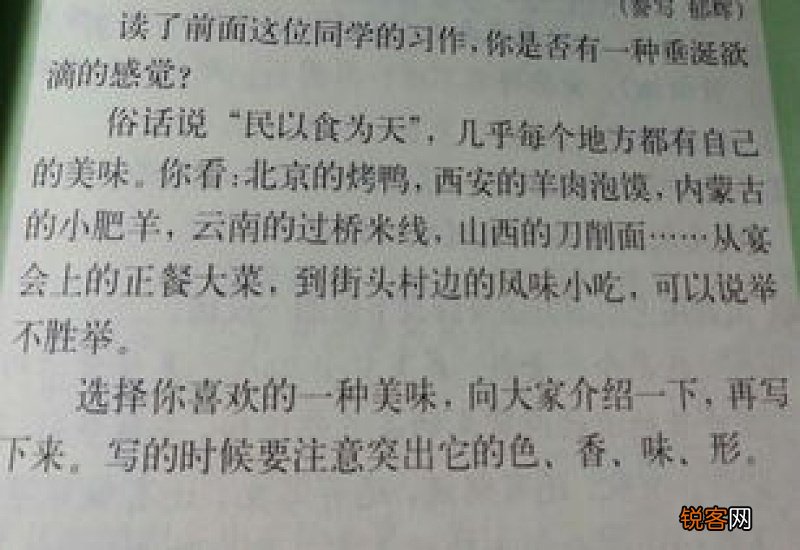 端午琐事500字作文