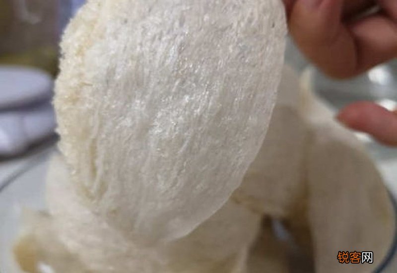 干燕窝放保鲜还是冷冻