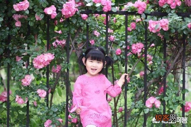 上联：花容月貌,莫若徐娘半老,下联怎么对？