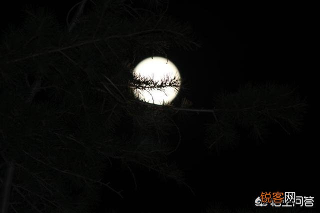上联：半老徐娘,年三十拜年三十年。请赐下联？