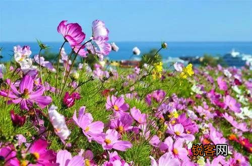 一个离了婚的半老徐娘总在头条上发照片是什么心态啊？