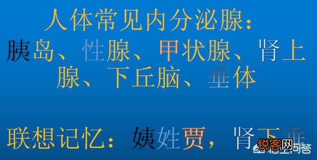 初中生的英语基础不好,有哪些好的英语软件可以推荐？
