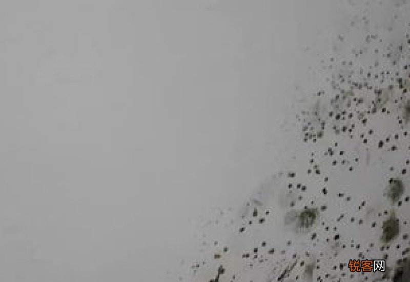 梅雨季节怎样防止家里发霉