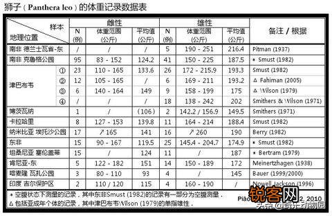 非洲雌狮打得过苏门答腊虎吗？