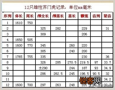 非洲雌狮打得过苏门答腊虎吗？