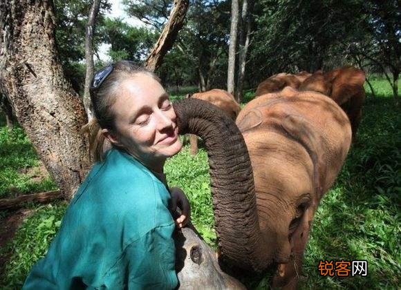 被宣布灭绝30年的鹿类有蹄类生物银背鼷鹿在越南被重新发现,那么野生华南虎有被重新发现的可能吗？