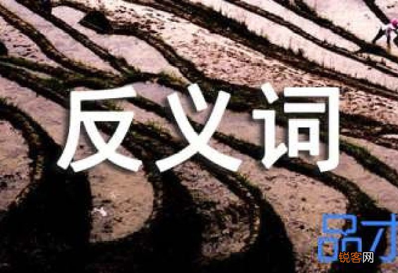 沉重的反义词 用沉重造句