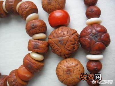 凤眼菩提有几种眼睛？