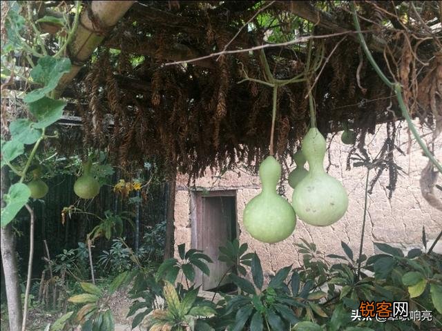 现在,头条的“展现”到底是什么意思? 和“阅读”量有什么区别？