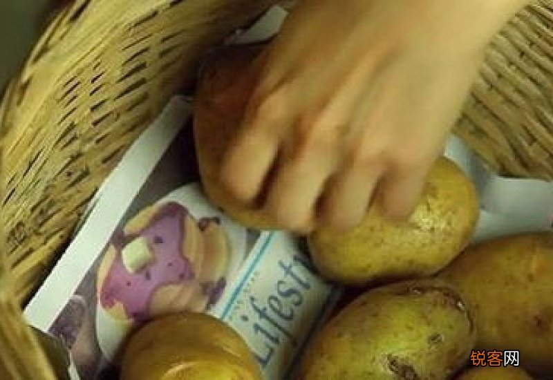 夏天土豆怎么储存不生芽