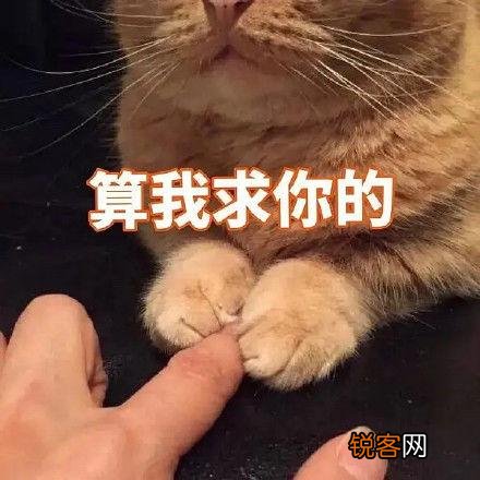 iPad上有哪些高质量的APP呢？