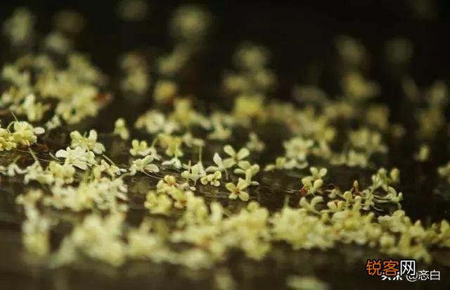 你所认为的人生三种境界是什么？能否用诗词句子来表达？