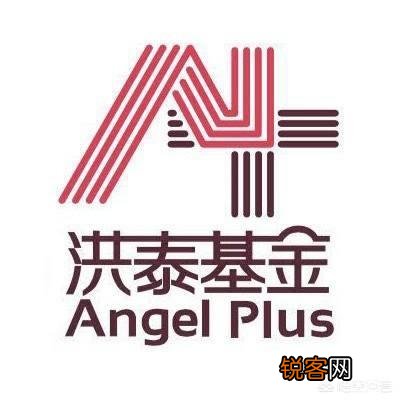 目前国内比较专业的天使轮投资公司和天使投资人有哪些？