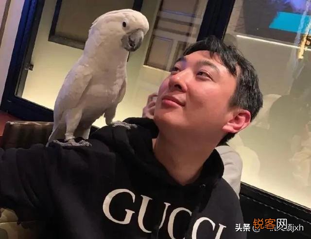 王思聪和林更新他们到底是什么关系？