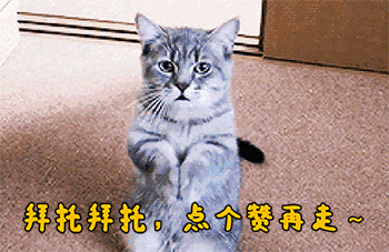 王思聪为什么不申请破产？