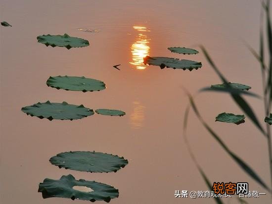 浙江理工大学建筑系好还是同济大学浙江学院建筑系好？
