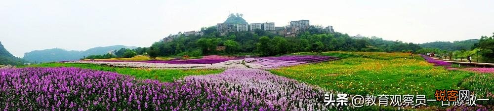 浙江理工大学建筑系好还是同济大学浙江学院建筑系好？